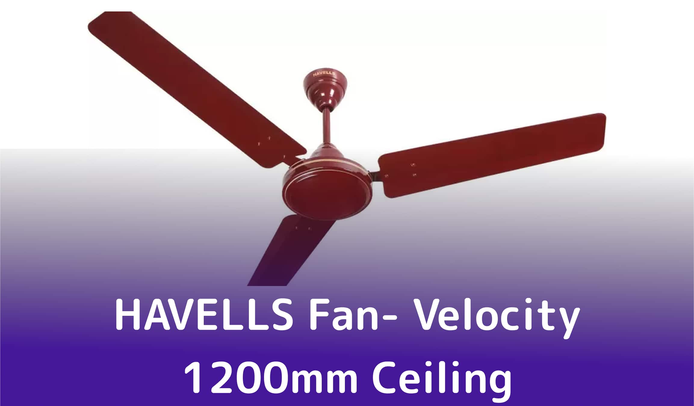 HAVELLS Fan- Velocity 1200mm Ceiling Feature and Review- Best Budget Fan