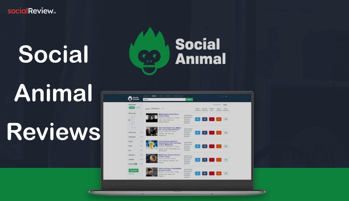 Social Animal Reviews